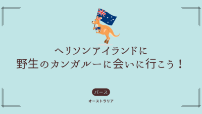 パース市内の隠れスポットで野生のカンガルーに会おう！